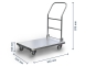 Platform trolley load capacity 150 kg with dimensions Width 820 mm, depth 520 mm, height 970 mm
